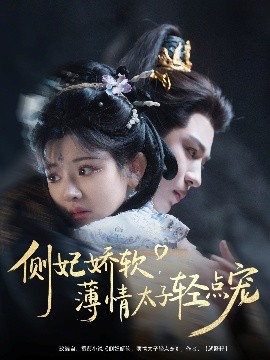 侧妃娇软薄情太子轻点宠全集