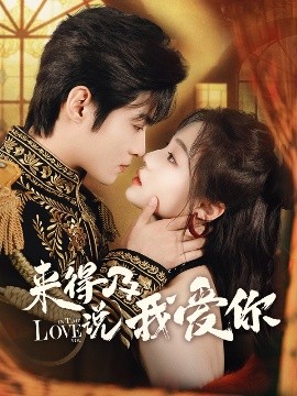 来得及说我爱你全集