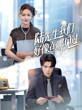 陆先生我们好像在哪见过全集