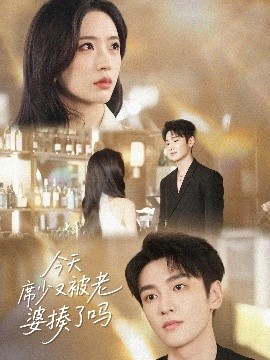 今天席少又被老婆揍了吗全集