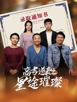 高考逆袭之星途璀璨全集