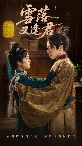 雪落又逢君全集