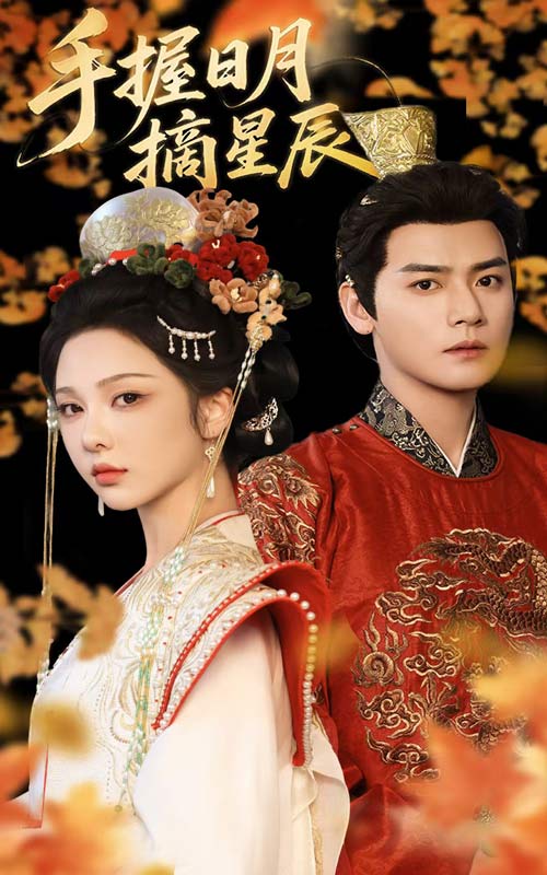 手握日月摘星辰全集