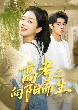 高考之向阳而生全集