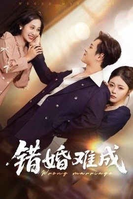 错婚难成全集