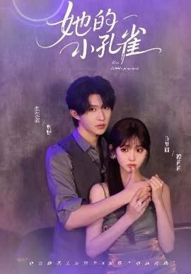 她的小孔雀全集