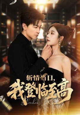 斩情当日，我登临至高全集