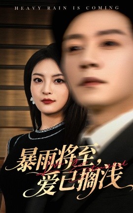 暴雨将至爱已搁浅全集