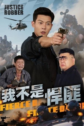 我不是悍匪全集