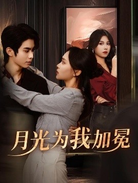 月光为我加冕全集