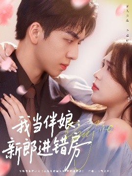 我当伴娘：新郎进错房全集