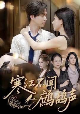 寒江不闻鹧鸪声全集