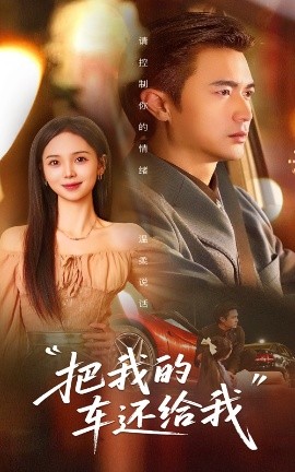 把我的车还给我全集