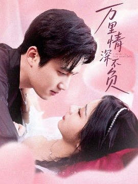 万里情深不负全集