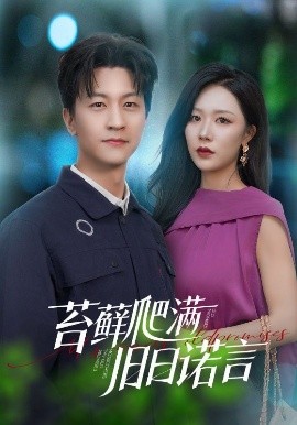 苔藓爬满旧日诺言全集