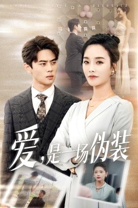 爱是一场伪装全集