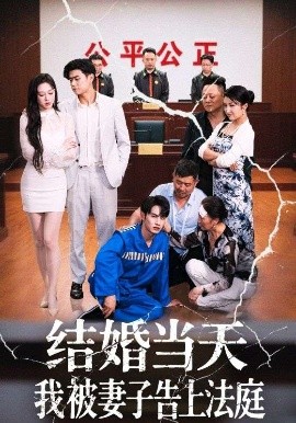 结婚当天我被妻子告上法庭全集