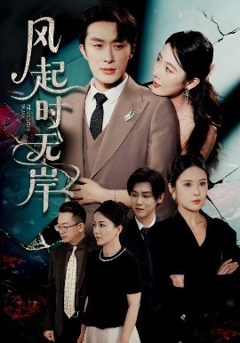 风起时无岸全集