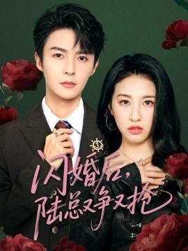 闪婚后陆总又争又抢全集