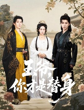 王爷你才是替身全集