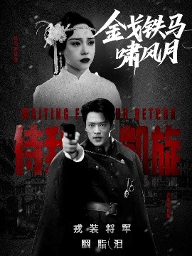 金戈铁马啸风月全集