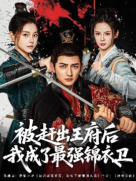 被赶出王府后我成了最强锦衣卫全集