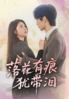 落花有痕犹带泪全集