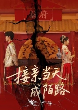 接亲当天成陌路全集