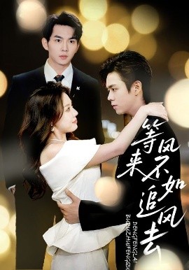 等风来不如追风去全集