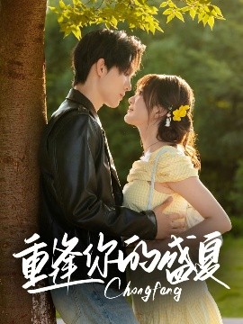 重逢你的盛夏全集