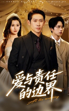 爱与责任的边界全集