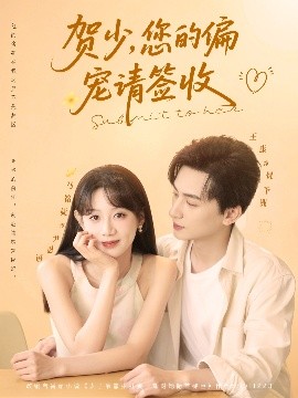 贺少您的偏宠请签收全集