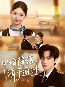 申请降落请予通过全集