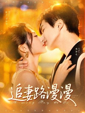 追妻路漫漫全集