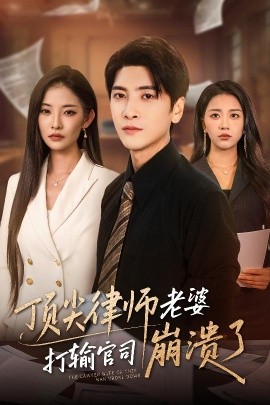 顶尖律师老婆打输官司崩溃了 爱至深处不回头全集