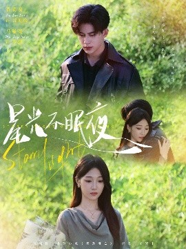 星光不眠夜全集