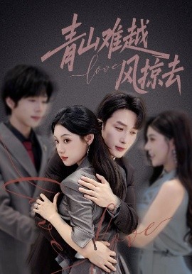 青山难越风掠去全集