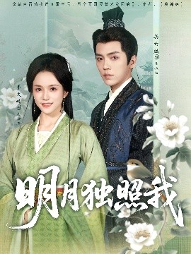 明月独照我全集
