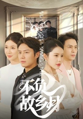 不负故乡月全集