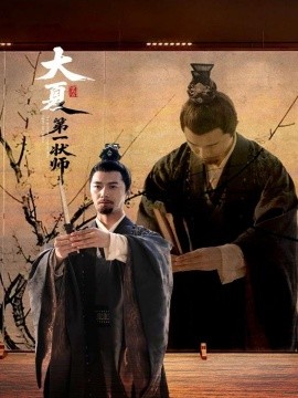 大夏第一状师全集