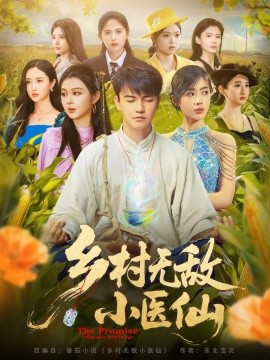 乡村无敌小医仙全集