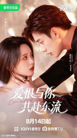 爱恨与你共赴东流全集