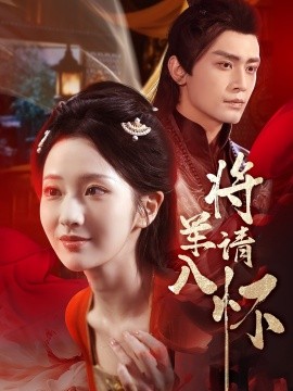 将军请入怀全集