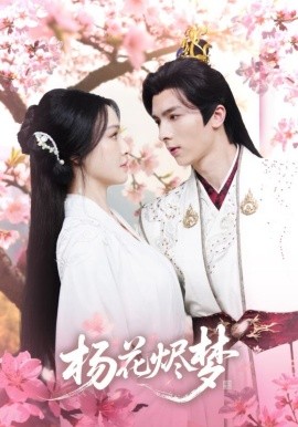 扬花烬梦全集