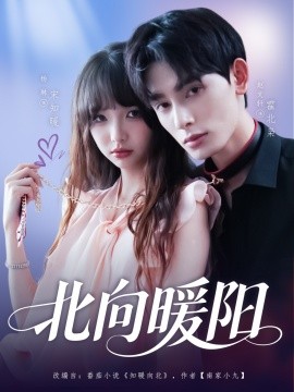 北向暖阳全集