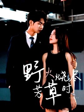 野火烧尽芳草时全集