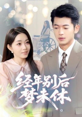 经年别后梦未休全集