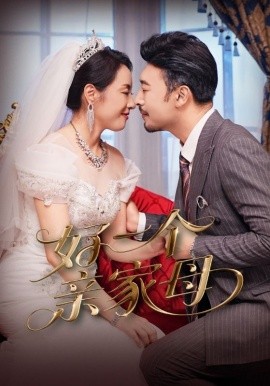 好一个亲家母全集