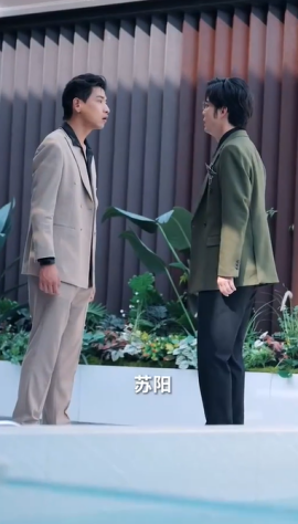 情深似海终成空短剧全集