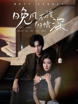 晚风不渡旧情深全集